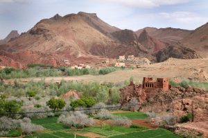 Explore Morocco in 8 days from Tangier