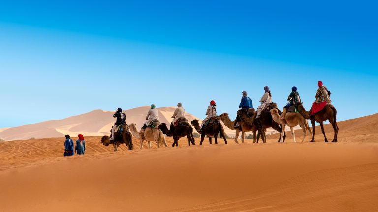 desert, the sand dunes, caravan, camel, berber, morocco, sahara, landscape, africa, sand, hot, nature, adventure, dune, drought, sky, peace of mind, marroc, travels, tourism, mood, erg chebbi, merzouga, camel, morocco, morocco, morocco, sahara, merzouga, merzouga, merzouga, merzouga, merzouga