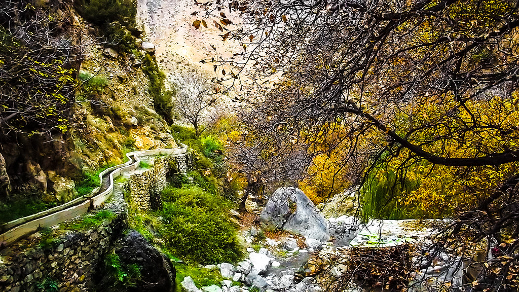 Ourika Valley Day Trip from Marrakech